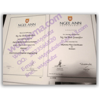 Ngee Ann Polytechnic diploma sample